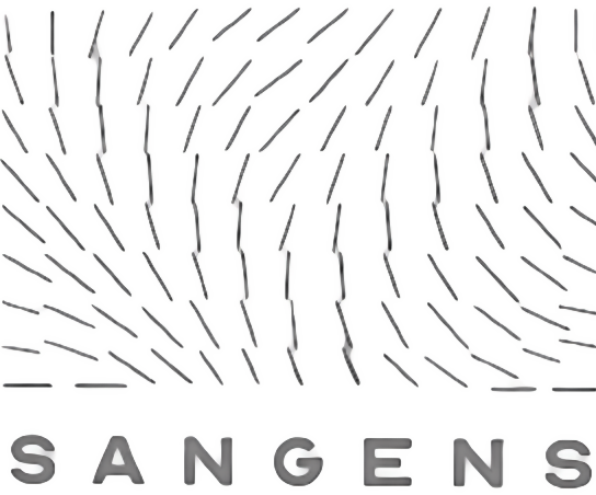 Электрические печи Sangens